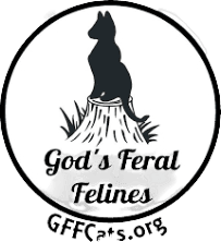 God's Feral Felines